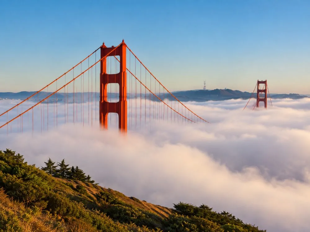 The tops of the Golden Gate Bridge towers above a bank of fog